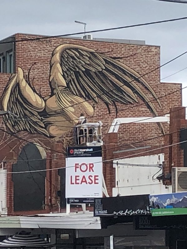 Mike Shankster - THE BUNJIL EAGLE - Mural - Melbourne - Work in progress