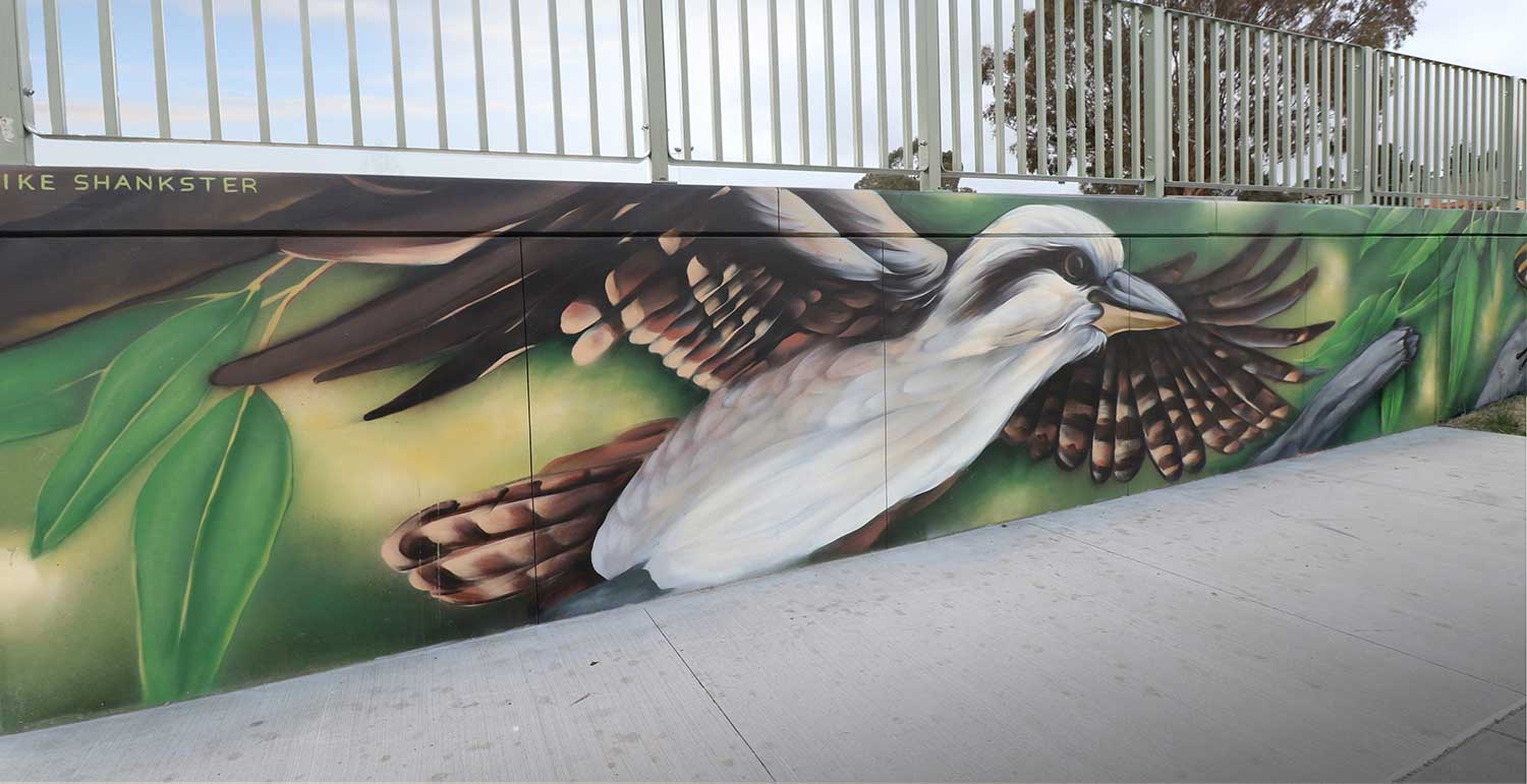 Jindabyne Skate Park bird mural Large bird mural at Jindabyne Skate Park painted along a concrete wall, surrounded by green leaf forms and natural tones.