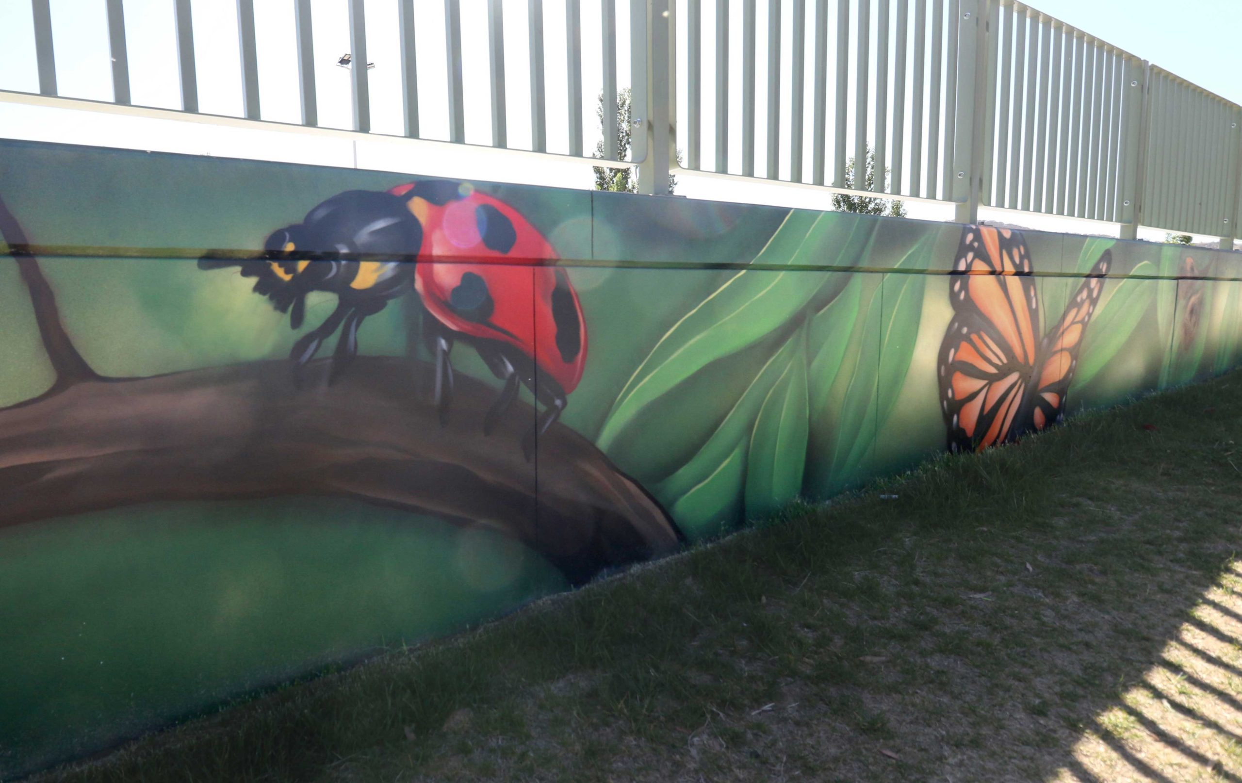 Jindabyne Skate Park insect mural Ladybird and butterfly mural at Jindabyne Skate Park painted along a green wall with leaf forms and natural colour tones.