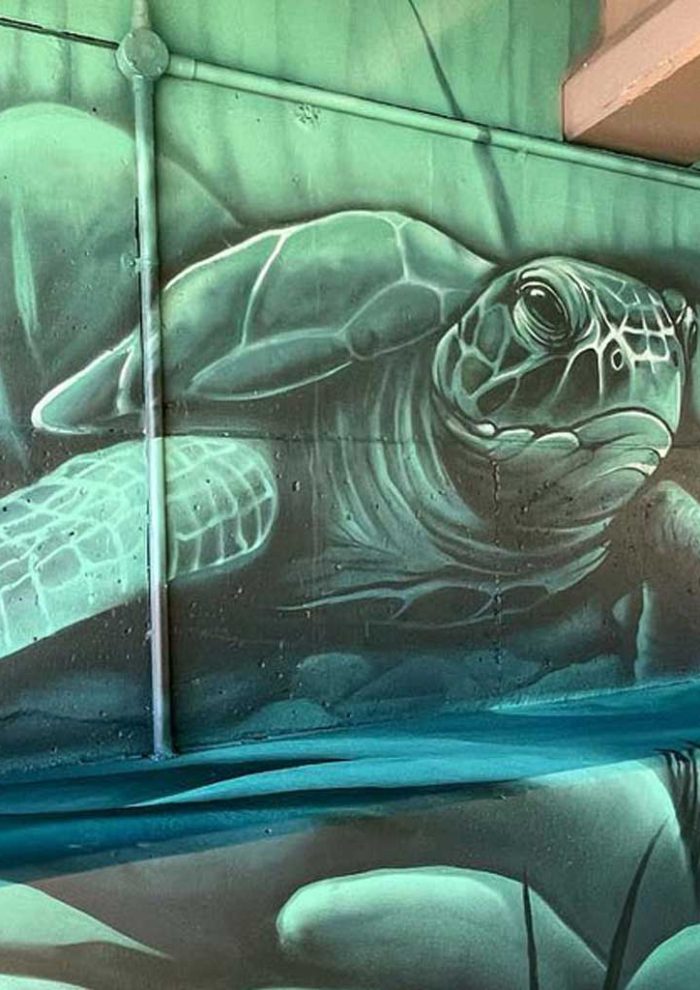 Sea turtle mural painted beneath a bridge in Port Macquarie, surrounded by underwater rocks and soft green-blue tones.