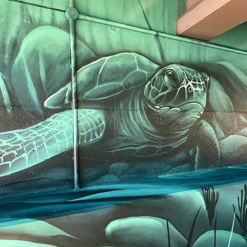 Sea turtle mural painted beneath a bridge in Port Macquarie, surrounded by underwater rocks and soft green-blue tones.