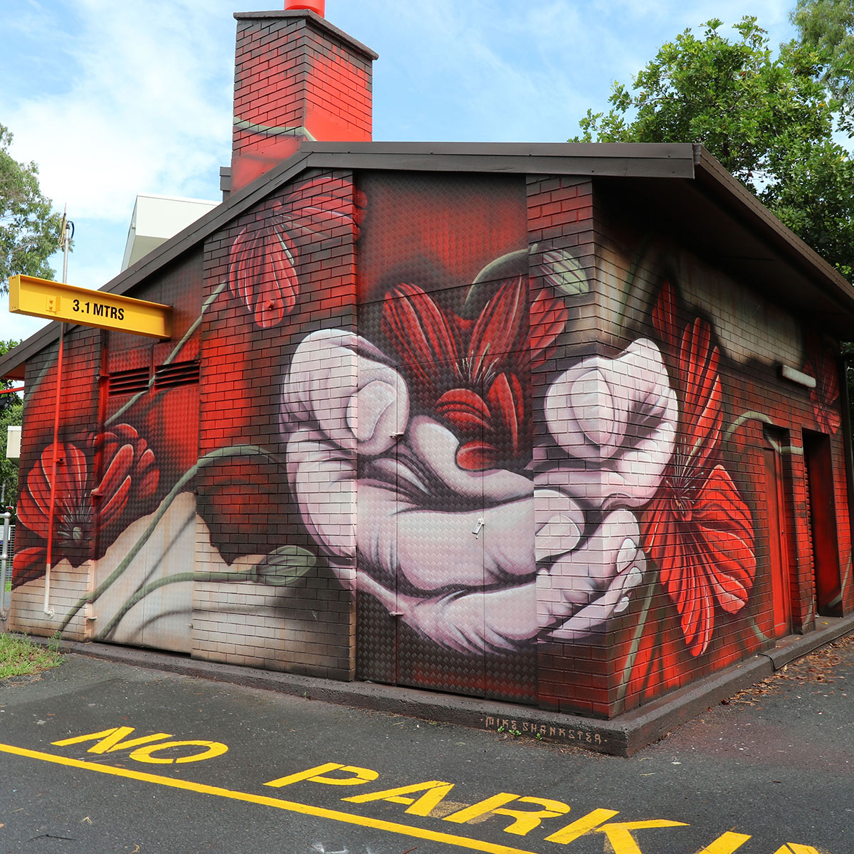 Gold Coast mural artist Mike Shankster painting an exterior mural in Currumbin