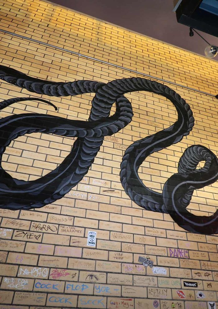 Large snake mural painted on a brick wall at Vinnies Dive Bar in Southport on the Gold Coast by Mike Shankster.