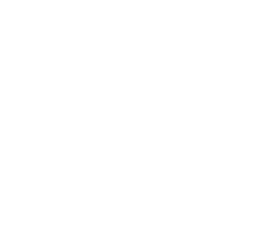 Walls Brands Stories
