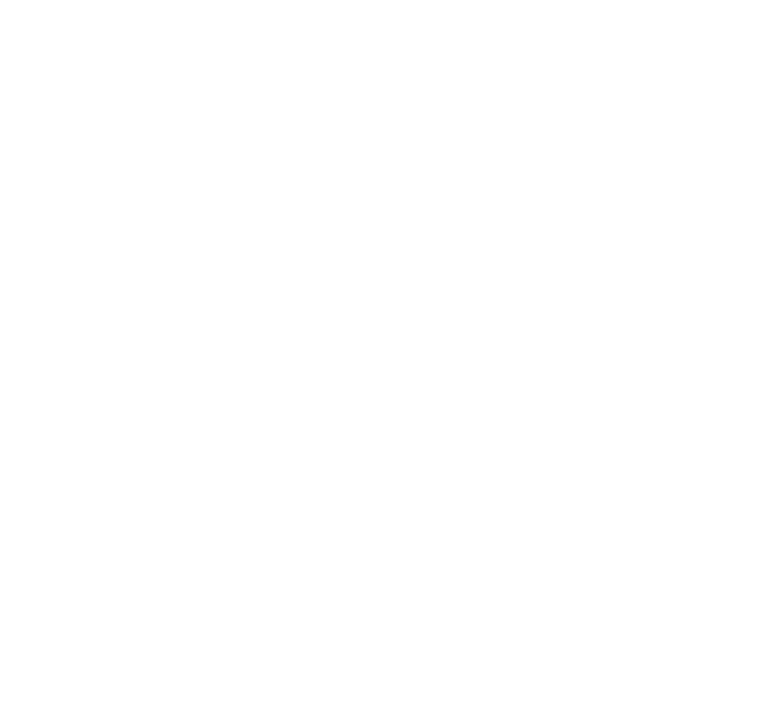 Walls Brands Stories